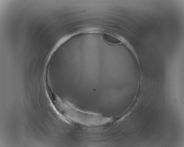 X0000079321429200612011830