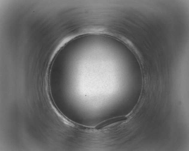 X0000079321432200612011831