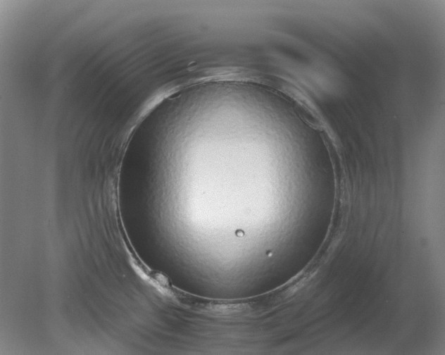 X0000079321433200612011831