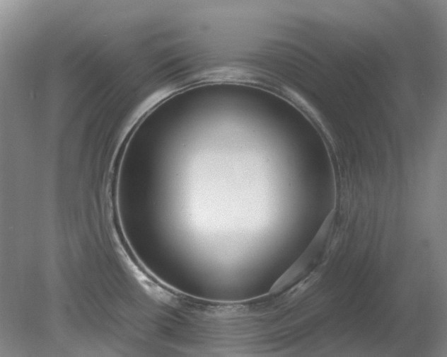 X0000079321434200612011831