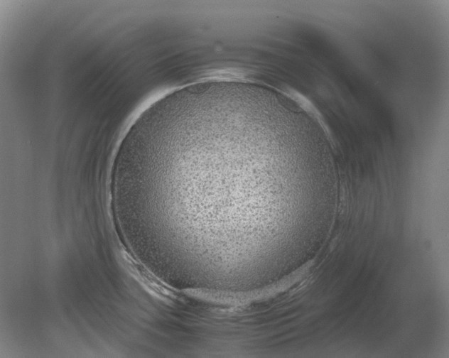 X0000079321435200612011831