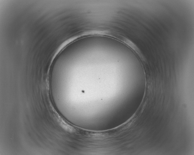 X0000079321436200612011831