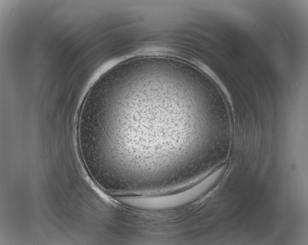 X0000079321437200612011831