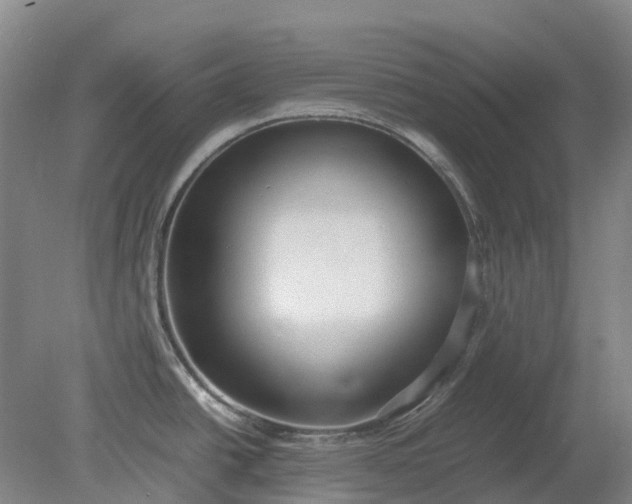 X0000079321438200612011831