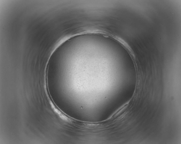 X0000079321439200612011831