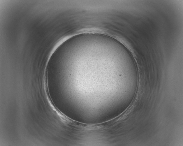 X0000079321440200612011831