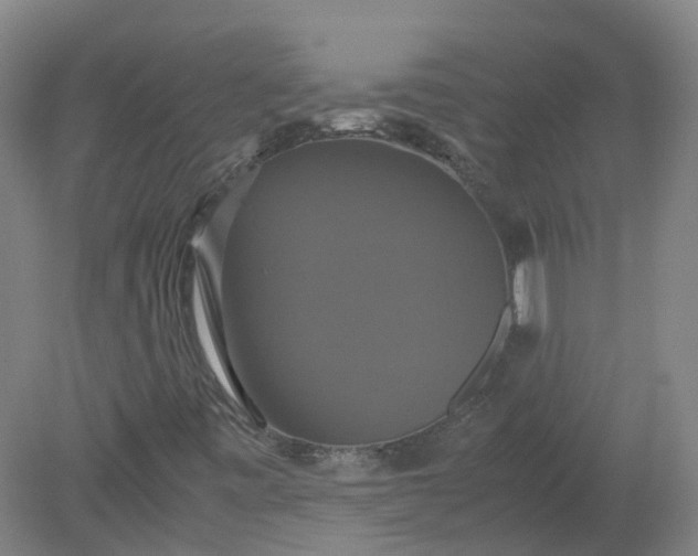 X0000079321443200612011830