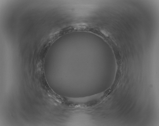 X0000079321445200612011830