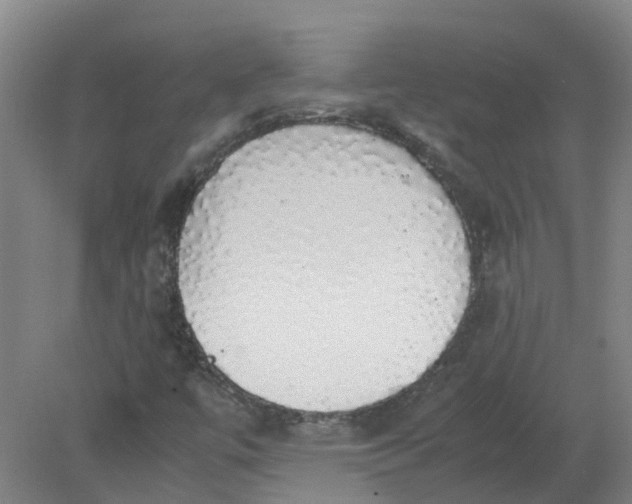 X0000079321447200612011830