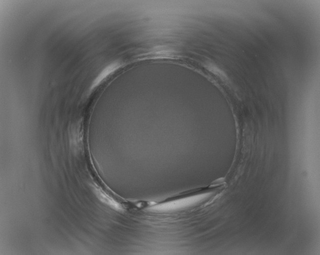 X0000079321450200612011830