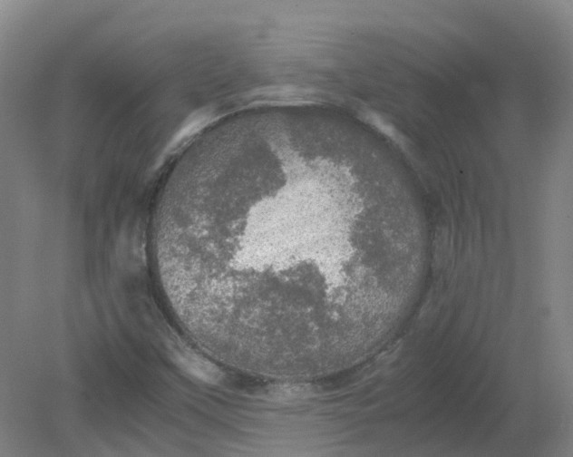 X0000079321451200612011830