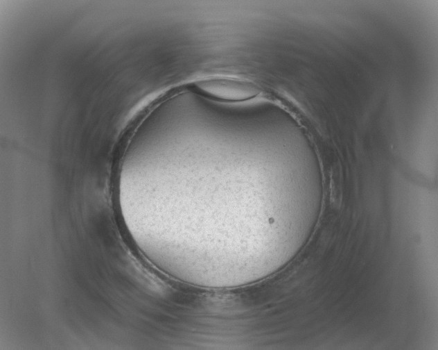 X0000079321452200612011830