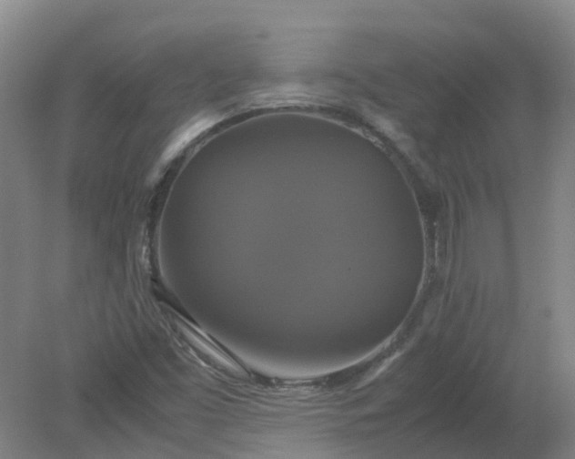 X0000079321453200612011830