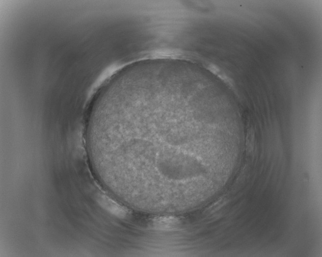 X0000079321454200612011830