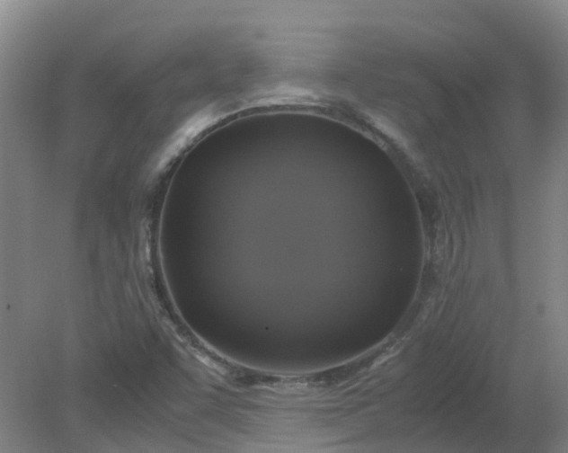 X0000079321455200612011830