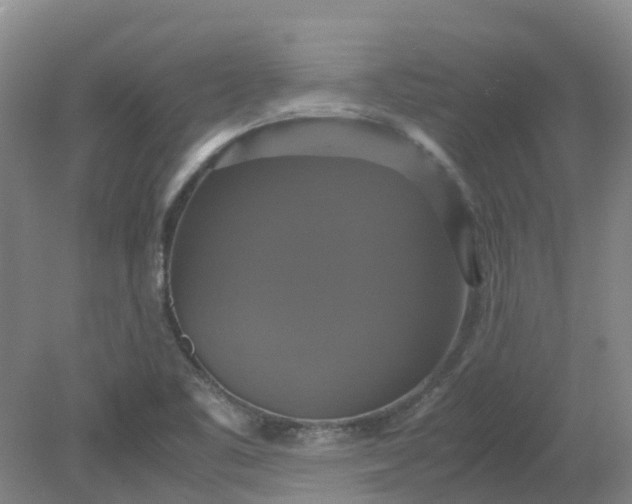 X0000079321461200612011830