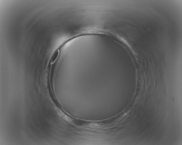 X0000079321463200612011829