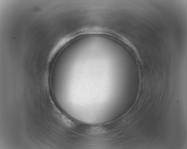 X0000079321464200612011829