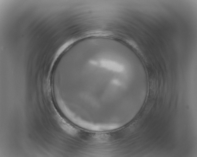 X0000079321466200612011829