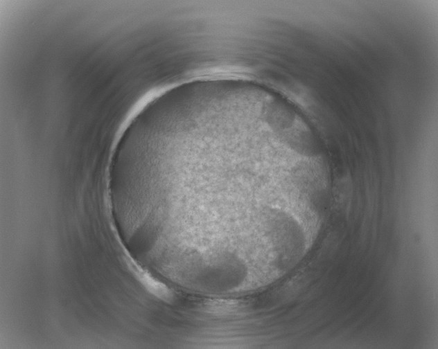 X0000079321470200612011829