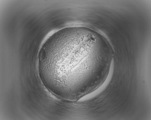 X0000079321472200612011829