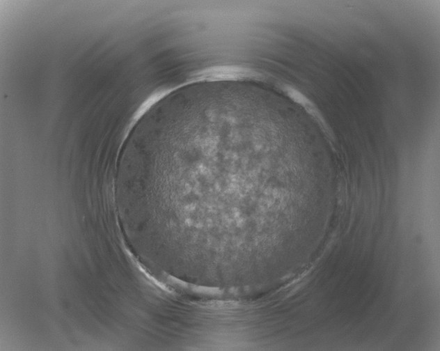 X0000079321473200612011829