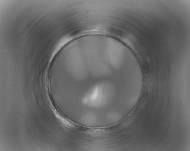 X0000079321474200612011829