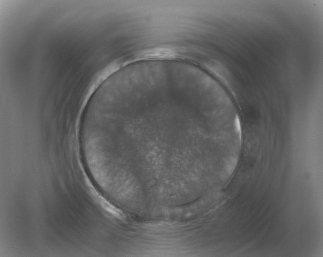 X0000079321475200612011829