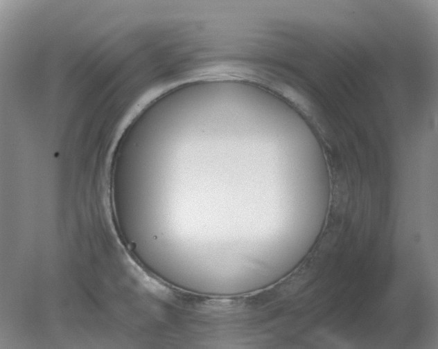 X0000079321478200612011829