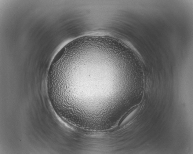 X0000079321484200612011829