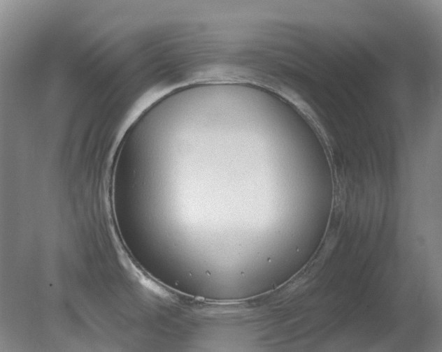 X0000079321486200612011829