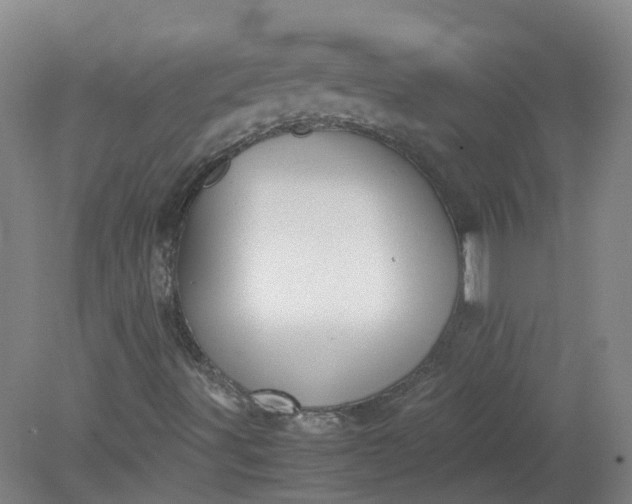 X0000079321491200612011828