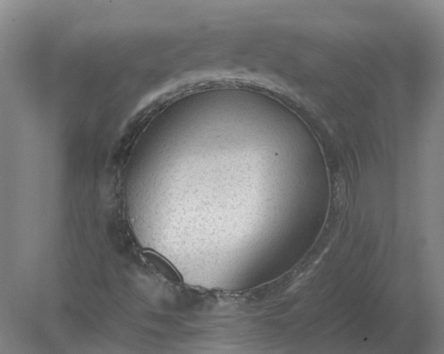 X0000079321494200612011828