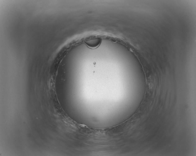 X0000079321495200612011828