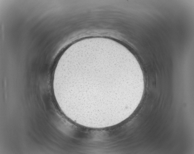 X0000079321498200612011828