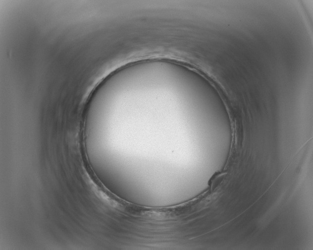 X0000079321500200612011828