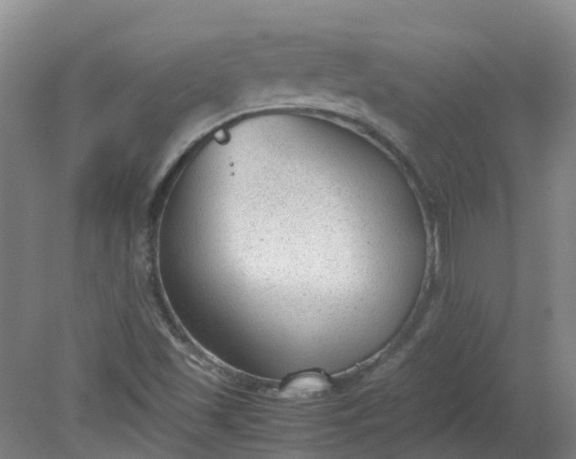 X0000079321501200612011828