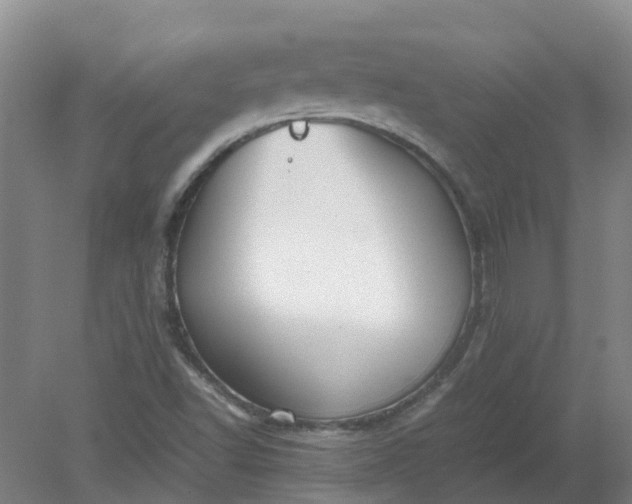 X0000079321502200612011828