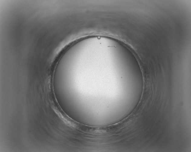 X0000079321503200612011828