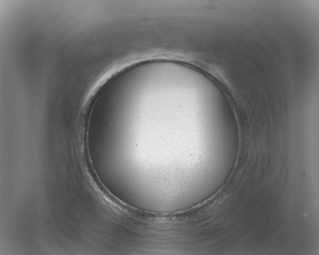 X0000079321504200612011829