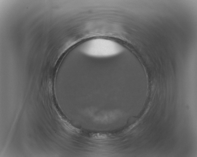 X0000079321505200612011829