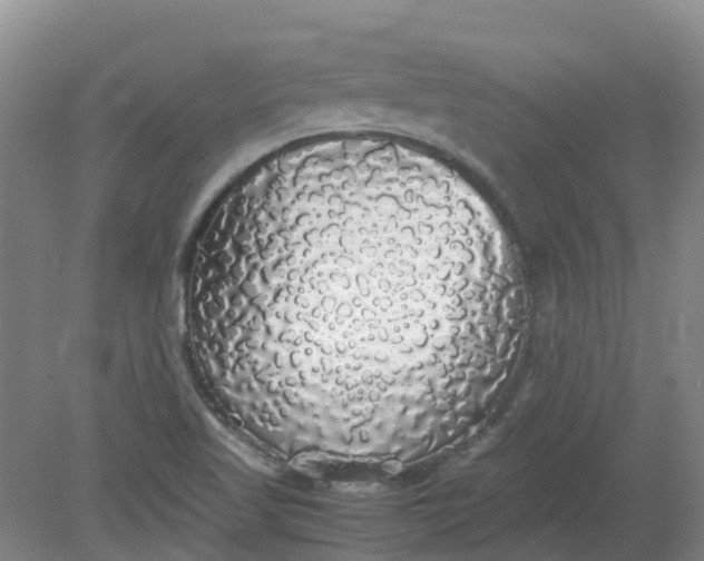 X0000079321509200612011829