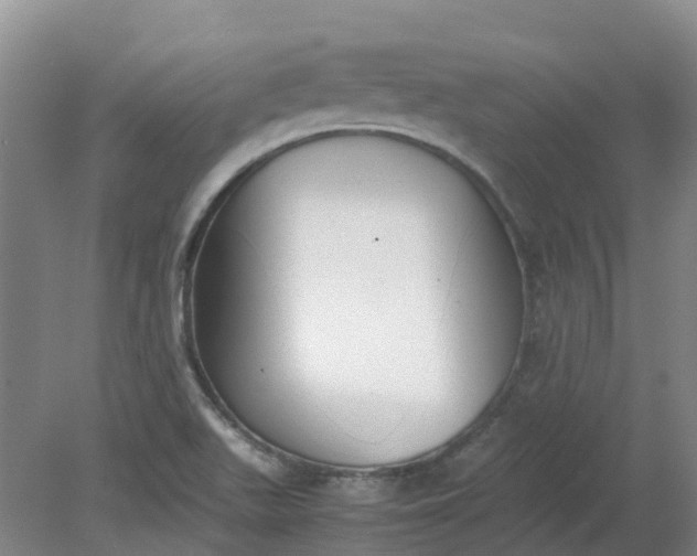 X0000079321511200612011829