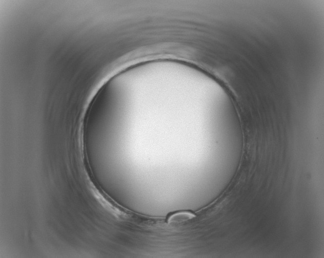 X0000079321516200612011829