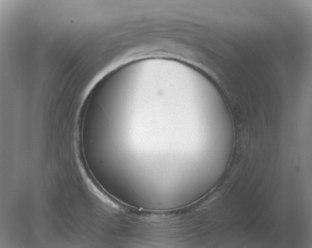 X0000079321518200612011829