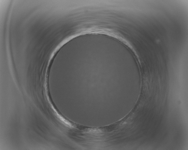 X0000079321525200612011829