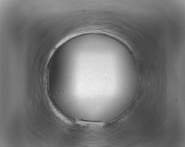 X0000079321526200612011829