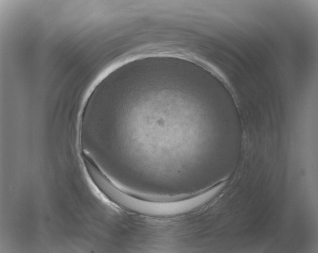 X0000079321528200612011829