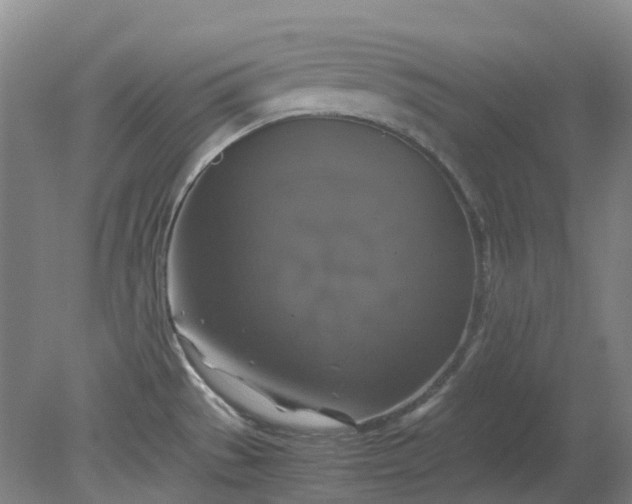 X0000079321529200612011829