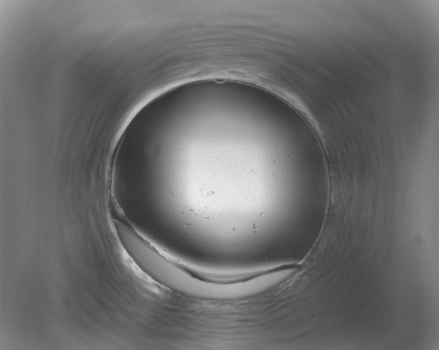 X0000079321532200612011829